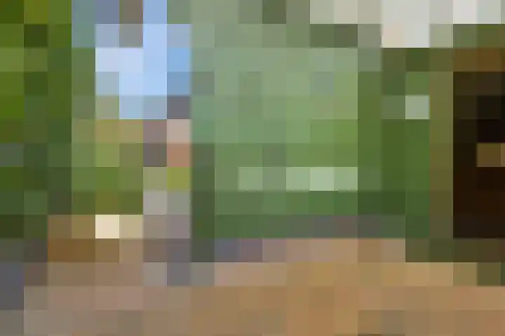 Taco Haringastraat 18 Schildwolde thumbnail 37