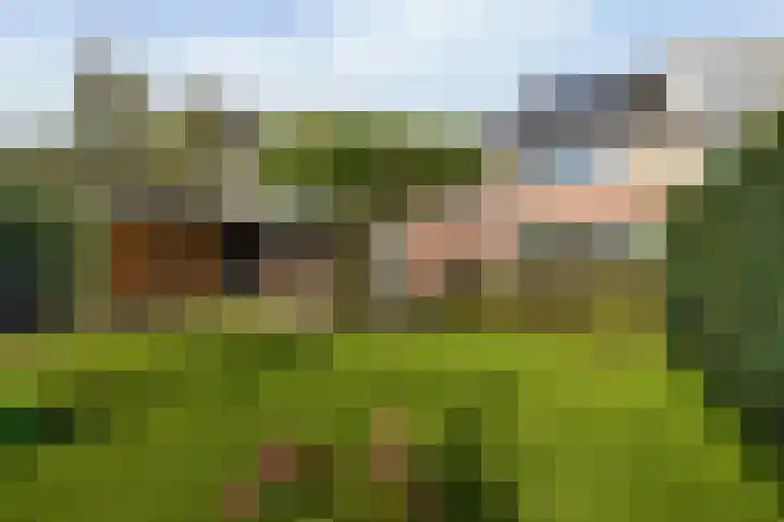 Taco Haringastraat 18 Schildwolde thumbnail 42