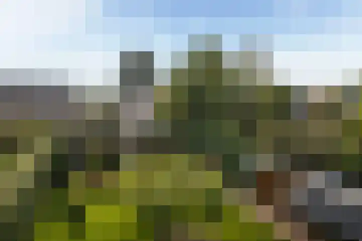 Taco Haringastraat 18 Schildwolde thumbnail 45
