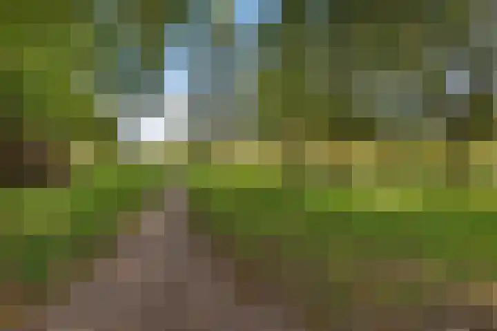 Taco Haringastraat 18 Schildwolde thumbnail 48