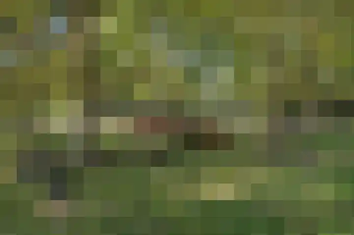 Taco Haringastraat 18 Schildwolde thumbnail 49