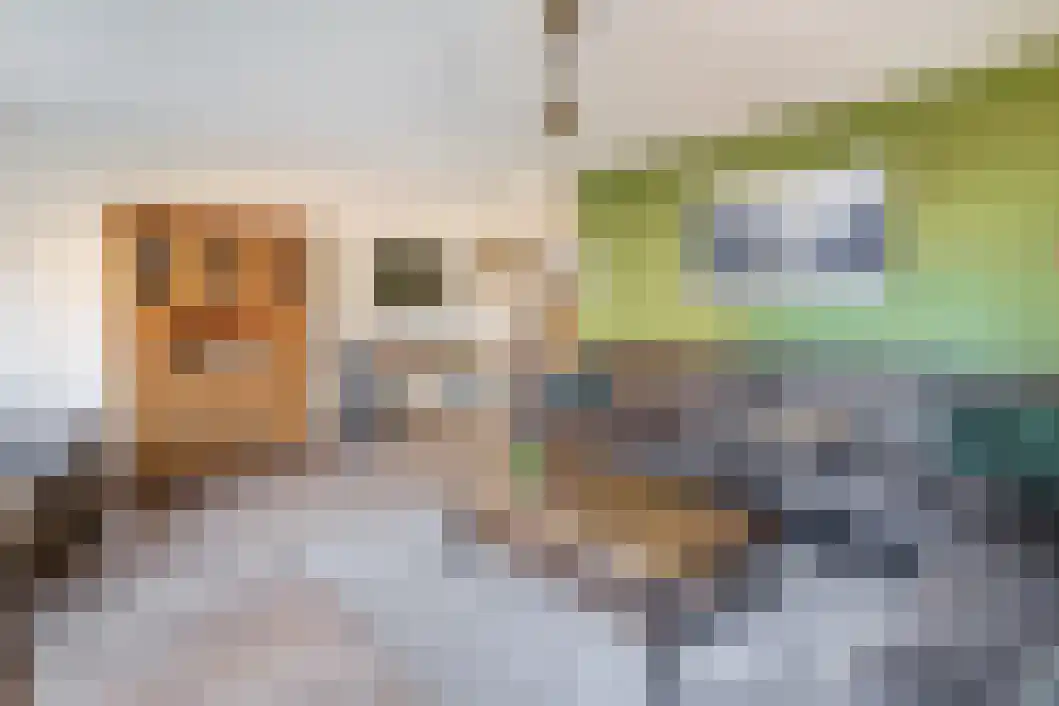 Taco Haringastraat 6 Schildwolde thumbnail 11