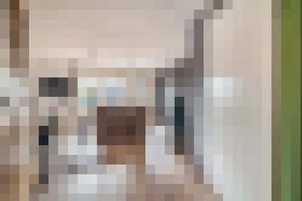 Taco Haringastraat 6 Schildwolde thumbnail 13