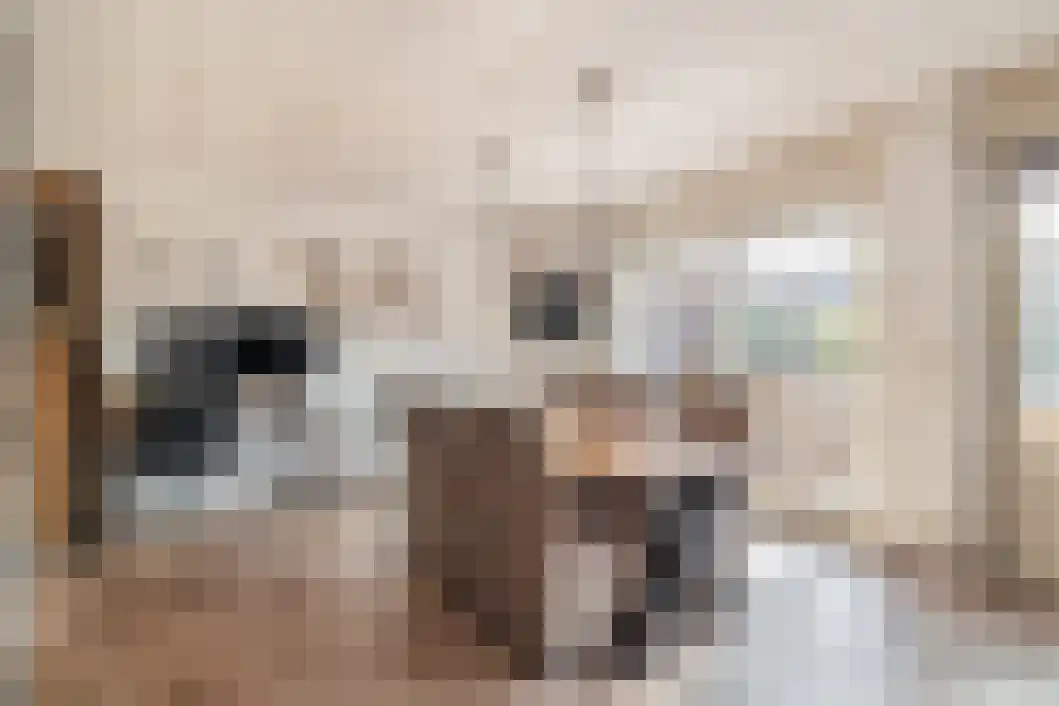 Taco Haringastraat 6 Schildwolde thumbnail 14
