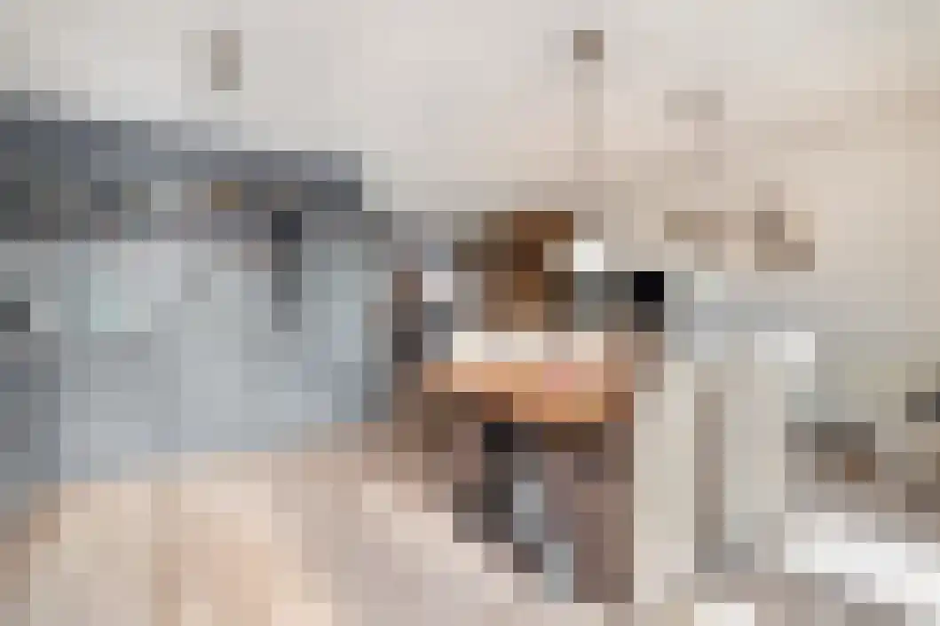 Taco Haringastraat 6 Schildwolde thumbnail 15