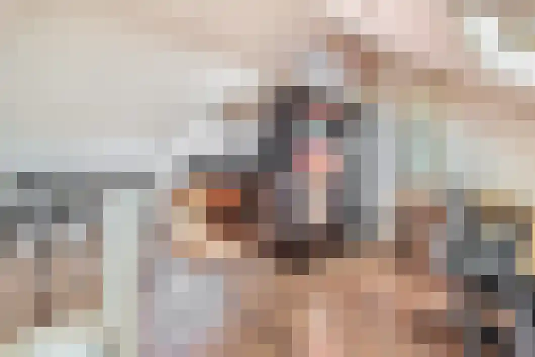 Taco Haringastraat 6 Schildwolde thumbnail 29