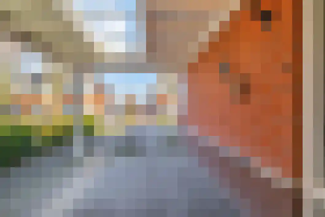 Taco Haringastraat 6 Schildwolde thumbnail 38