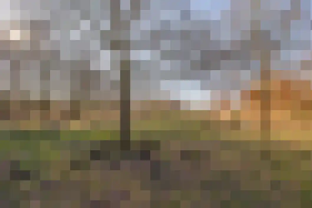 Taco Haringastraat 6 Schildwolde thumbnail 43