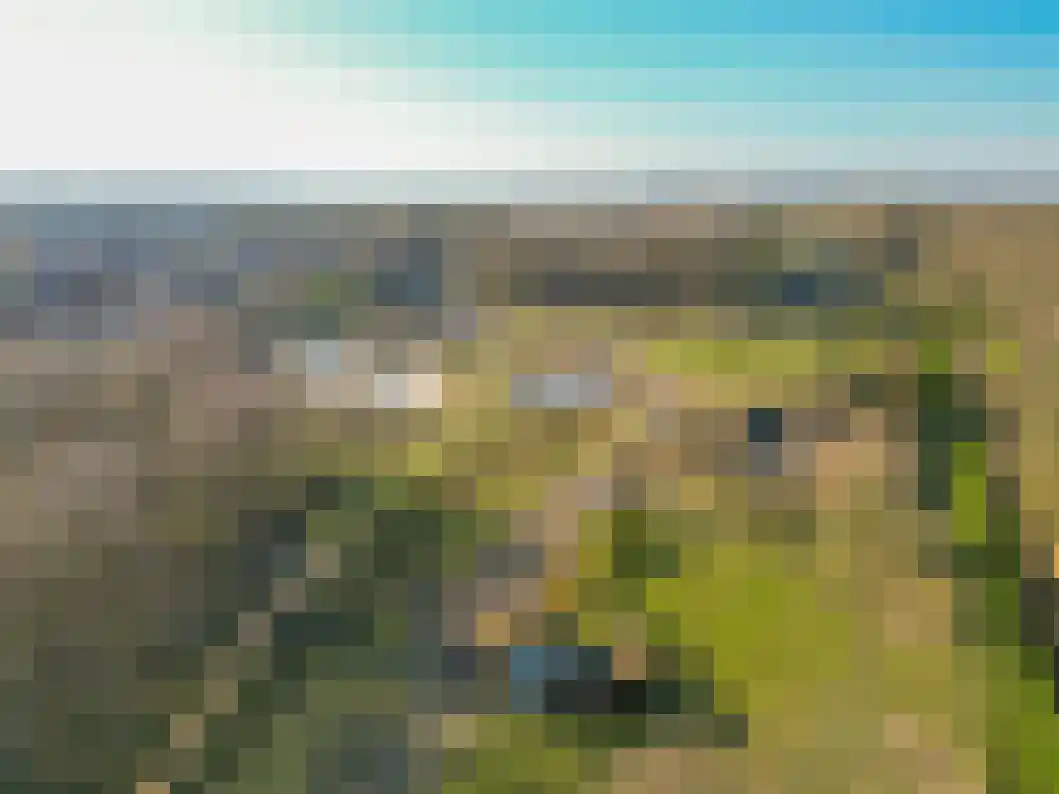 Taco Haringastraat 6 Schildwolde thumbnail 45