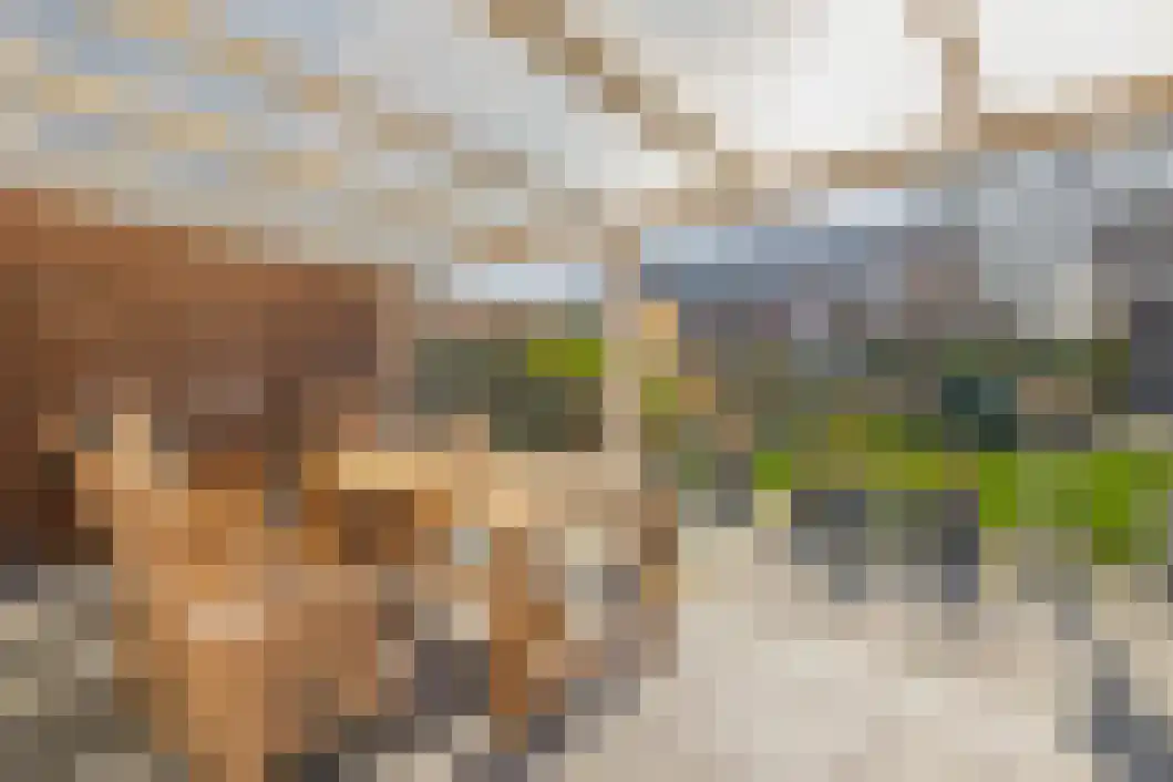 Taco Haringastraat 6 Schildwolde thumbnail 5