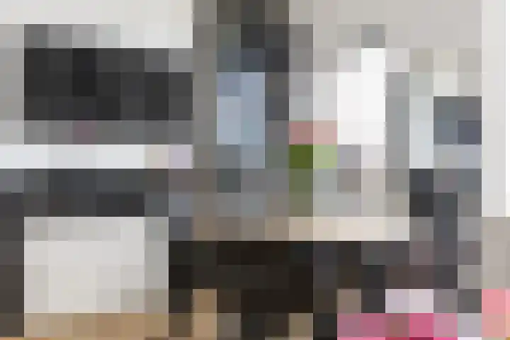 Taco Mesdagplein 1 1c Groningen thumbnail 14