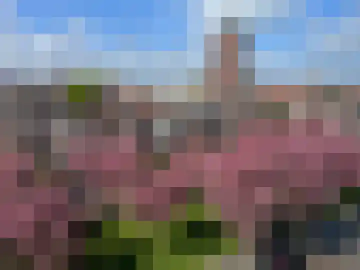 Taco Mesdagplein 1 1c Groningen thumbnail 26