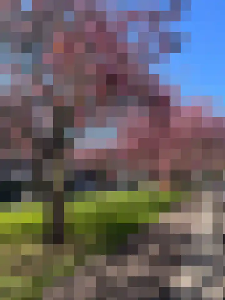 Taco Mesdagplein 1 1c Groningen thumbnail 5