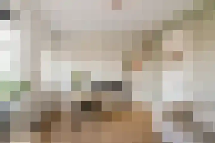 Taco Mesdagplein 1 b Groningen thumbnail 11