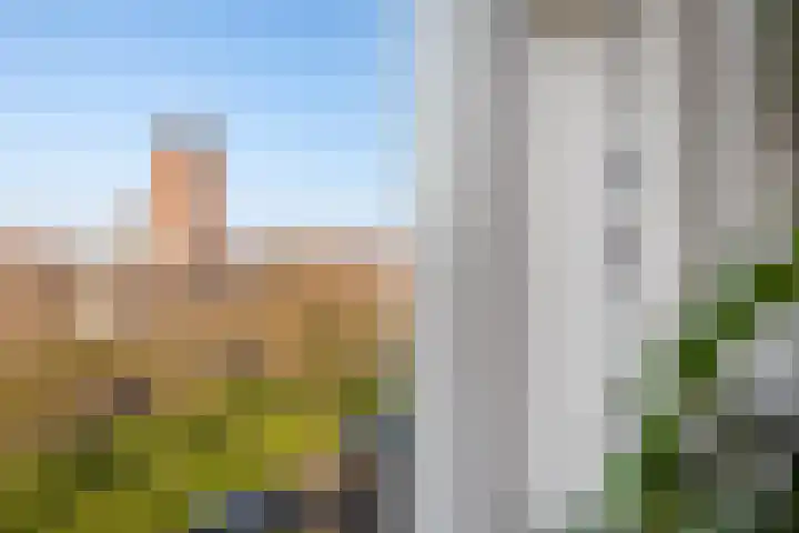 Taco Mesdagplein 1 b Groningen thumbnail 13