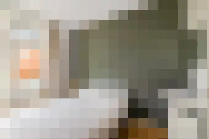 Taco Mesdagplein 1 b Groningen thumbnail 19