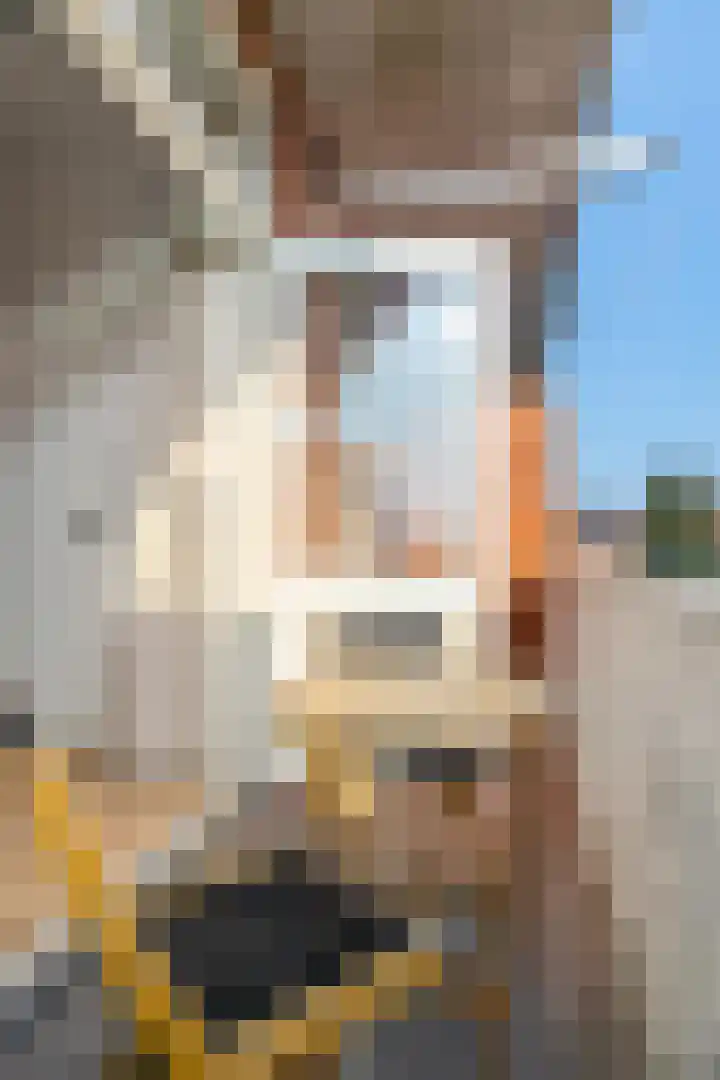 Taco Mesdagplein 1 b Groningen thumbnail 24