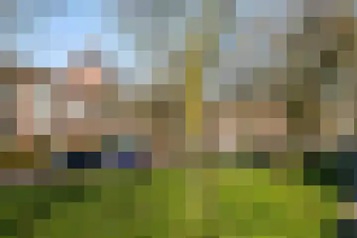 Taco Mesdagplein 1 b Groningen thumbnail 31