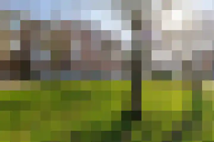 Taco Mesdagplein 1 b Groningen thumbnail 32