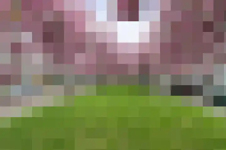 Taco Mesdagplein 1 b Groningen thumbnail 33