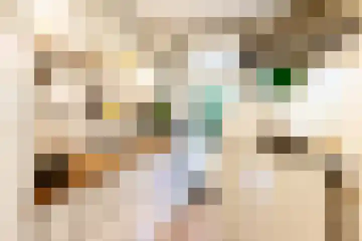 Taco Mesdagplein 1 Groningen thumbnail 14