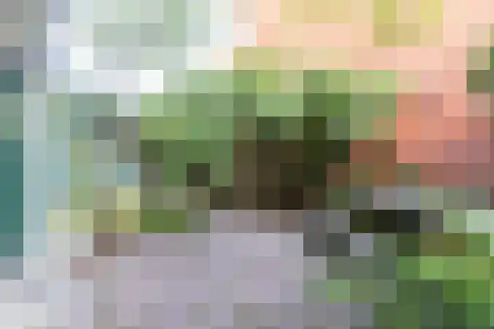 Taco Mesdagplein 1 Groningen thumbnail 23