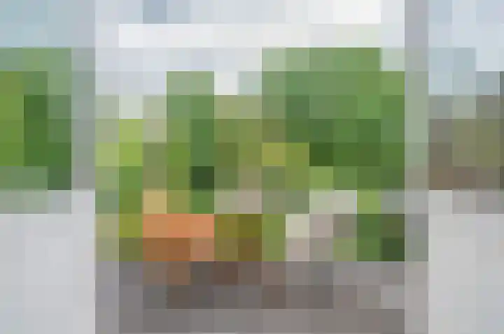 Taco Mesdagplein 11 Groningen thumbnail 26