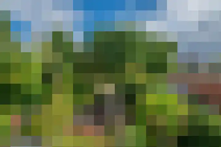 Taco Mesdagplein 11 Groningen thumbnail 28