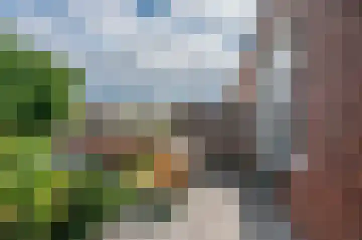 Taco Mesdagplein 11 Groningen thumbnail 29