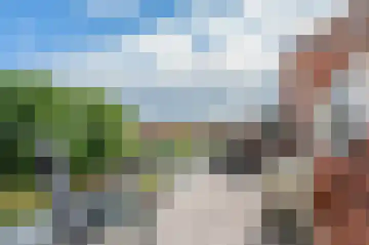 Taco Mesdagplein 11 Groningen thumbnail 46