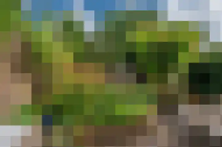 Taco Mesdagplein 11 Groningen thumbnail 49