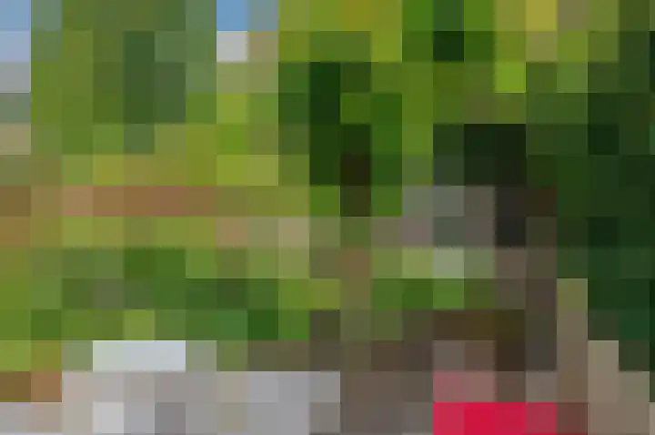 Taco Mesdagplein 11 Groningen thumbnail 51