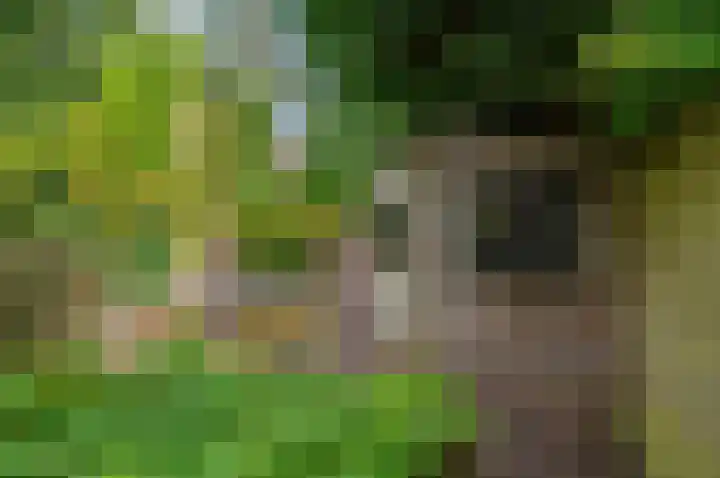 Taco Mesdagplein 11 Groningen thumbnail 52