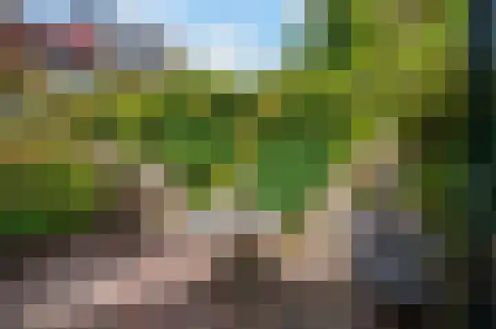 Taco Mesdagplein 11 Groningen thumbnail 57