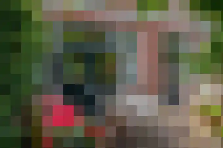 Taco Mesdagplein 11 Groningen thumbnail 61