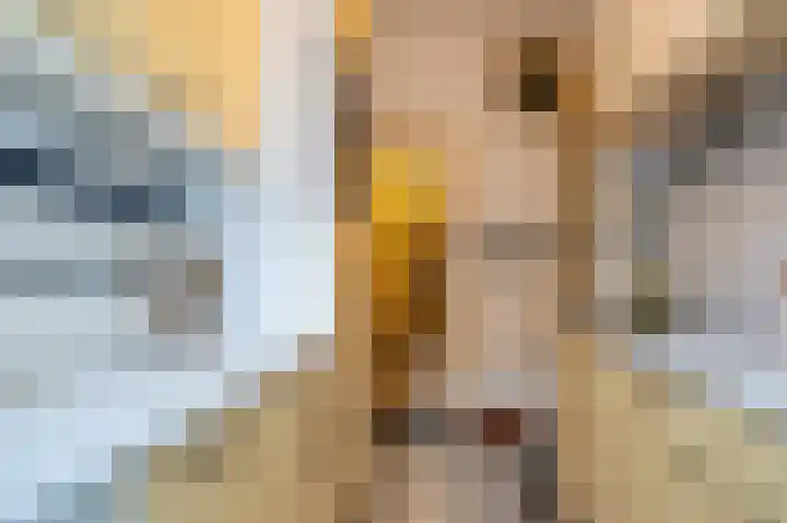 Taco Mesdagplein 16 Groningen thumbnail 25
