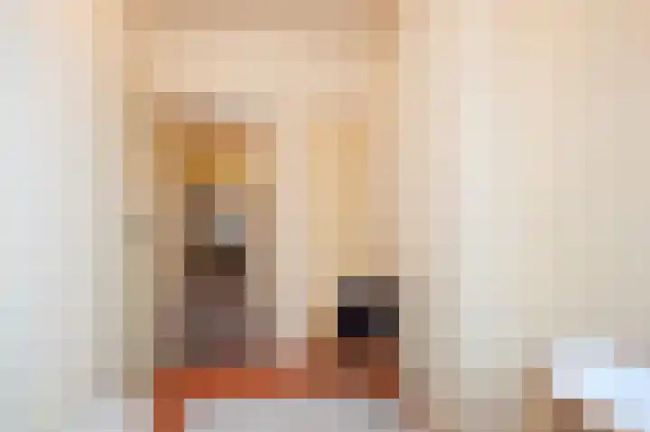 Taco Mesdagplein 16 Groningen thumbnail 39