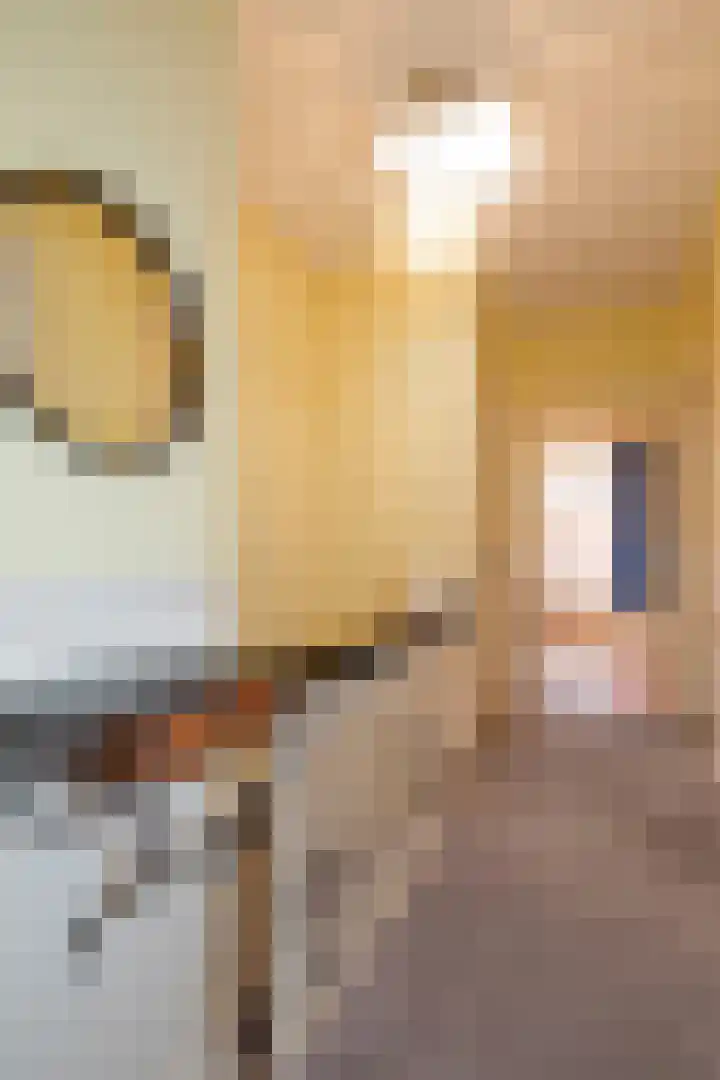 Taco Mesdagplein 16 Groningen thumbnail 41
