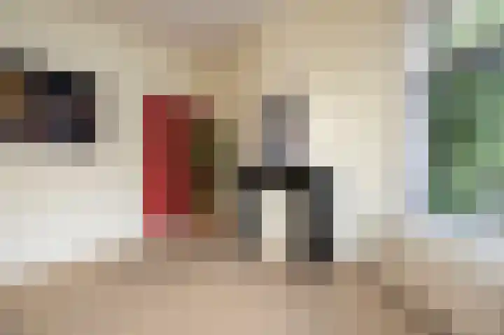 Taco Mesdagplein 16 Groningen thumbnail 45