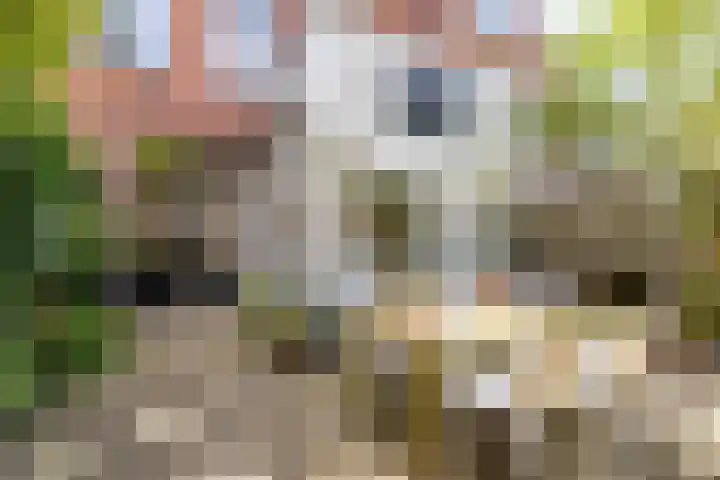Taco Mesdagstraat 21 Groningen thumbnail 18