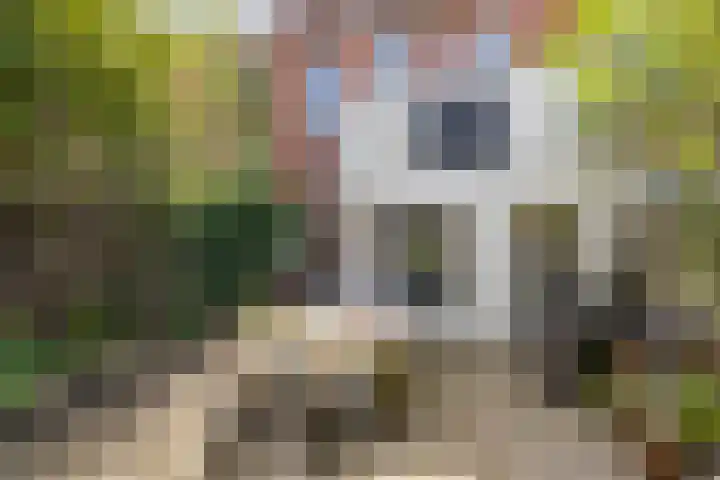 Taco Mesdagstraat 21 Groningen thumbnail 19
