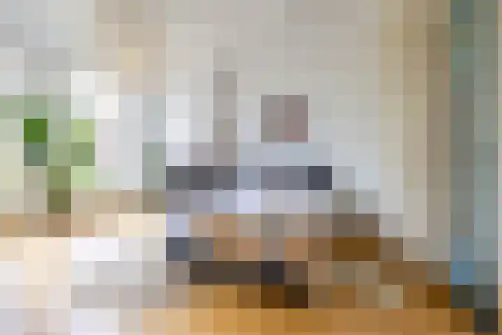 Taco Mesdagstraat 21 Groningen thumbnail 30