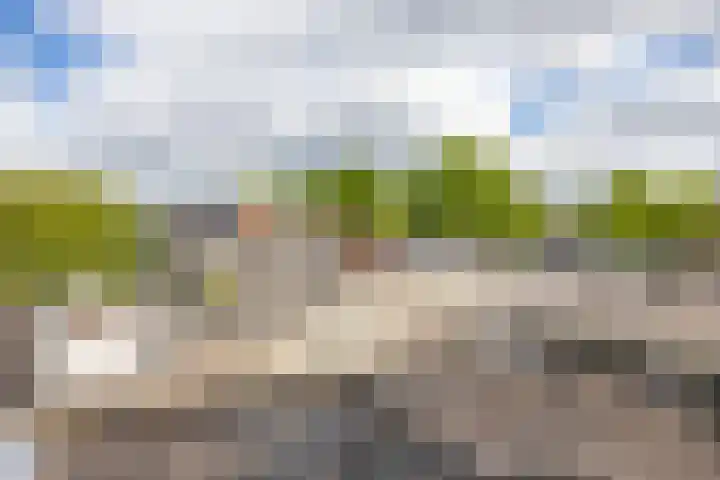 Taco Mesdagstraat 21 Groningen thumbnail 51