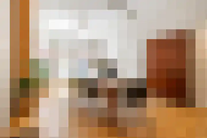 Taco Mesdagstraat 21 Groningen thumbnail 8