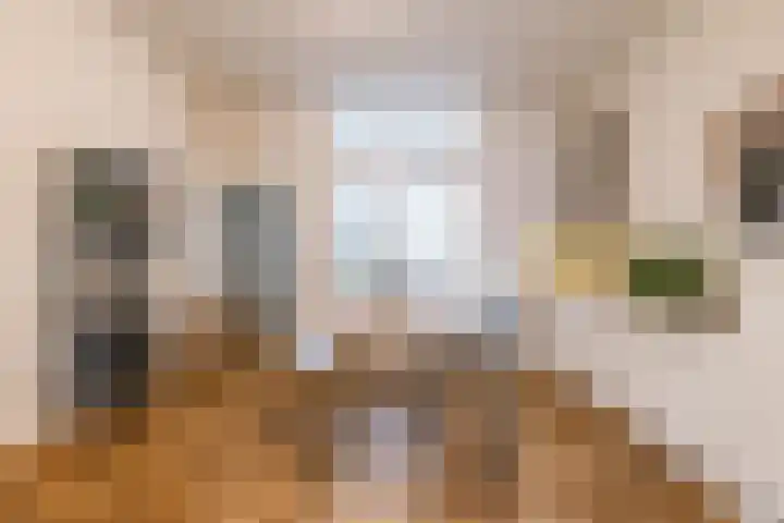 Taco Mesdagstraat 38 Groningen thumbnail 22