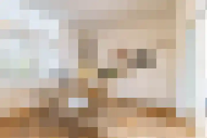 Taco Mesdagstraat 38 Groningen thumbnail 23