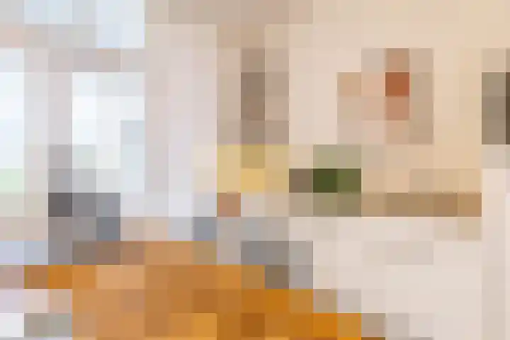 Taco Mesdagstraat 38 Groningen thumbnail 24