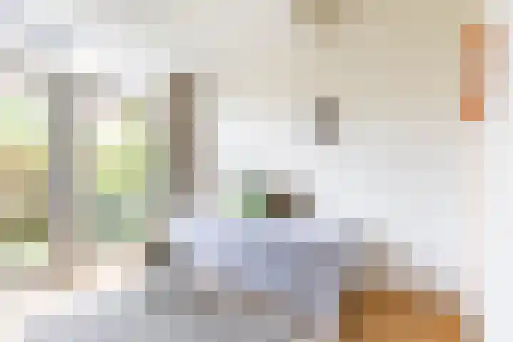 Taco Mesdagstraat 38 Groningen thumbnail 30