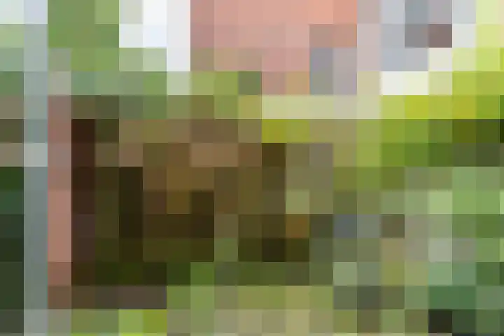 Taco Mesdagstraat 38 Groningen thumbnail 32