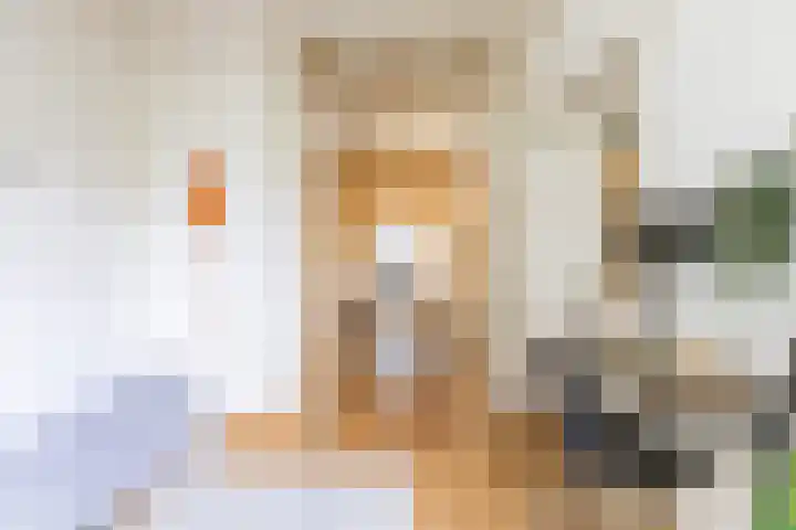 Taco Mesdagstraat 38 Groningen thumbnail 34